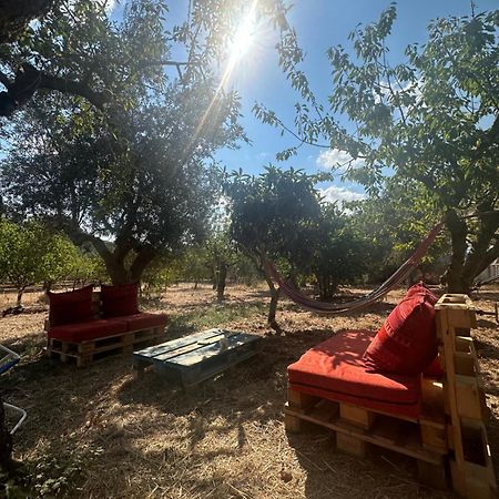 B&B Villa Tiziana Монополи Экстерьер фото